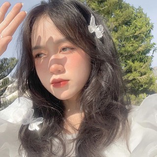 kẹp tóc con bướm ulzzang