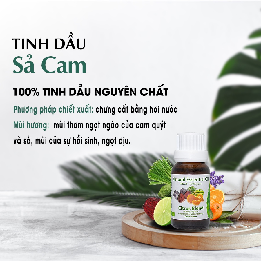 Tinh Dầu Thiên Nhiên / AROMA / Sả Cam - Citrus Blend Essential Oil 10ml