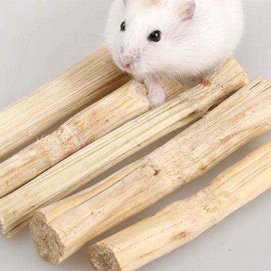 Tre ngọt mài răng cho Hamster , thỏ , bọ , sóc