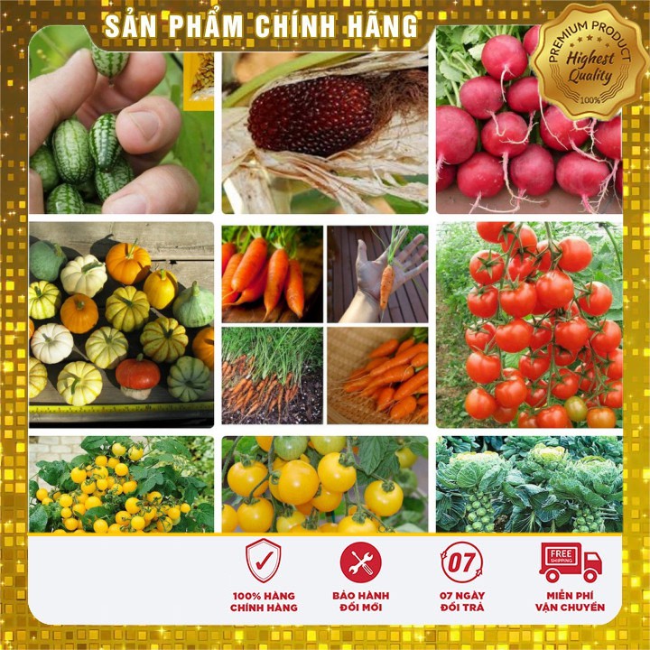 COMBO 12 GÓI HẠT GIỐNG TÍ HON CỰC KUTE