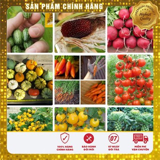 COMBO 12 GÓI HẠT GIỐNG TÍ HON CỰC KUTE
