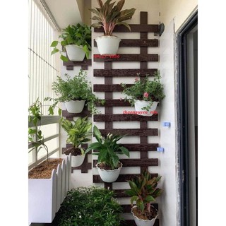 combo 10 chậu nhựa treo trồng hoa ( Rộng trên 15cm x dài 23cm x Cao 15cm)