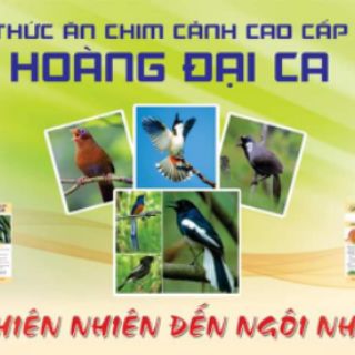 Cám Chim Họa Mi Hoàng Đại Ca, Cám Chất