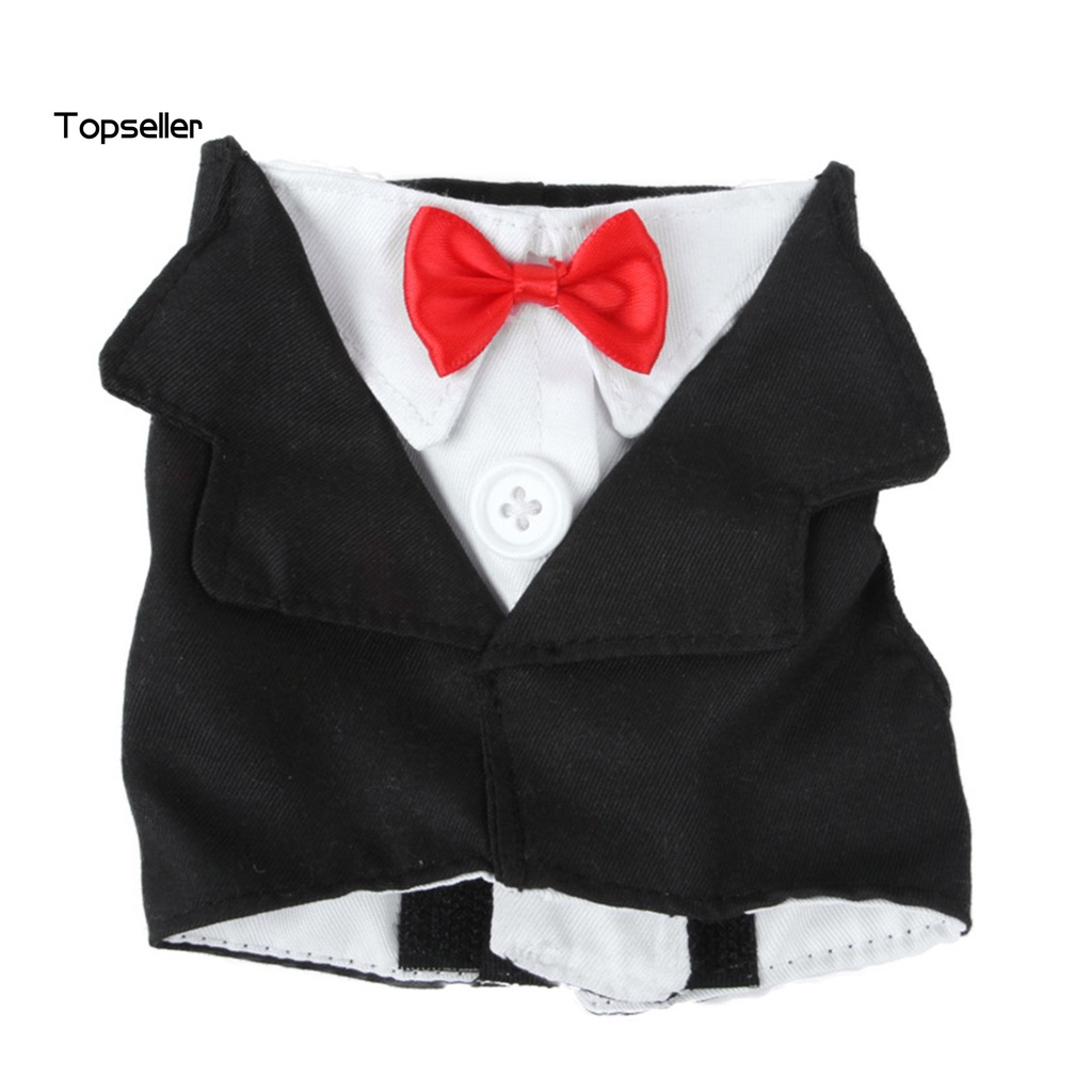 Áo Khoác Lông Vũ / Nơ Cổ Mini Dễ Thương Cho Chim Vẹt Chơi