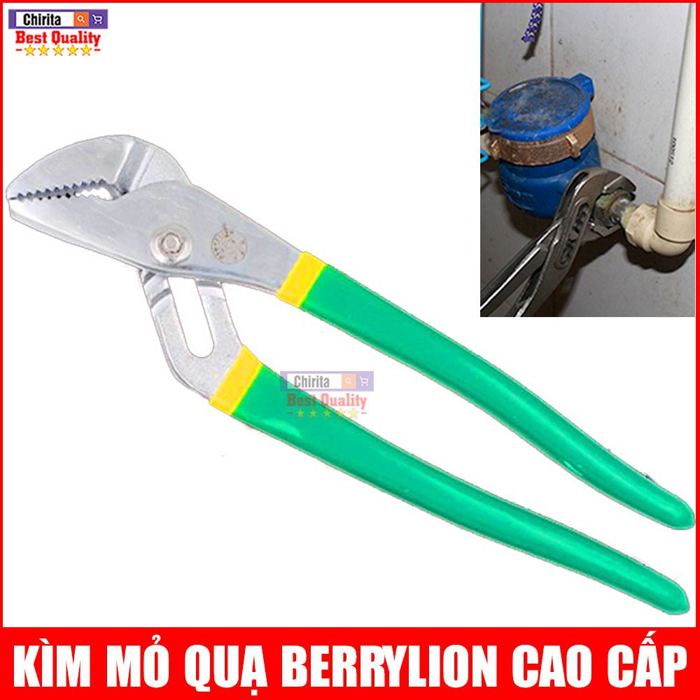 Kìm Mỏ Quạ BERRYLION 10 250mm CAO CẤP - Chất Liệu Thép Không Rỉ