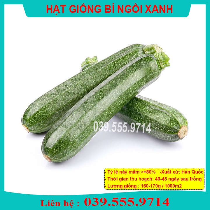 Hạt giống bí ngồi xanh 10 hạt