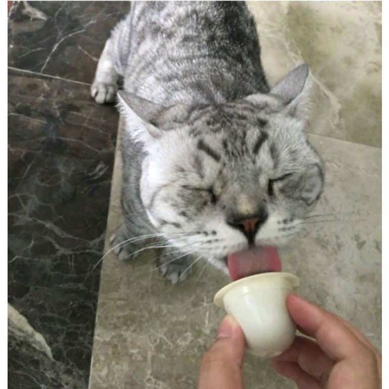 Pudding sữa dê bổ sung canxi cho mèo lớn và mèo con viên 15gr