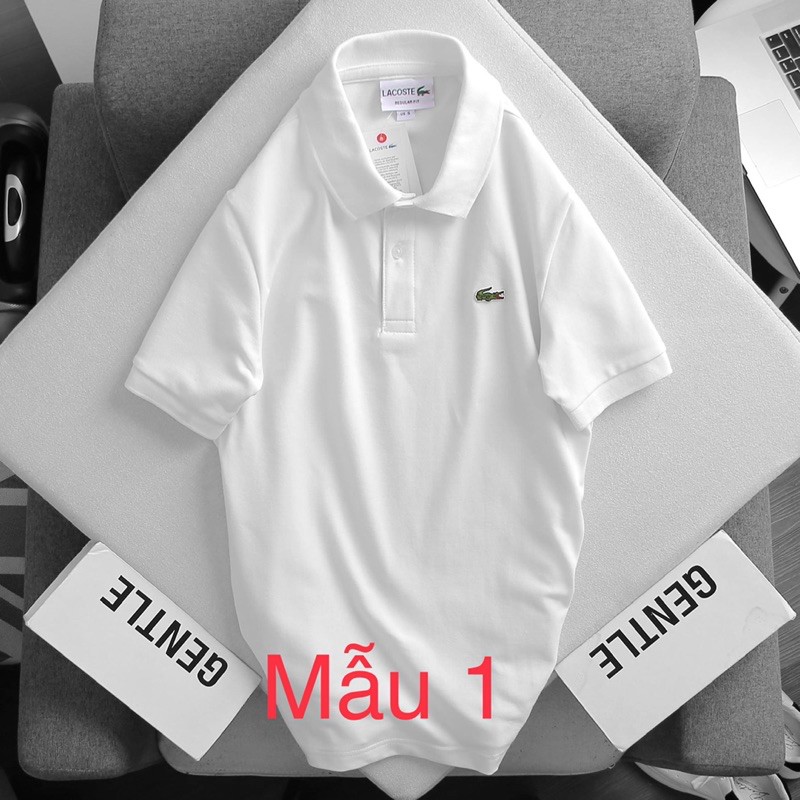 🐊🐊❣️𝑪𝒐𝒍𝒐𝒖𝒓𝒇𝒖𝒍 Áo thun Polo nam cực chất | BigBuy360 - bigbuy360.vn