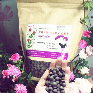 Phân Trùn Quế Hạt Mận Cho Hoa Lan