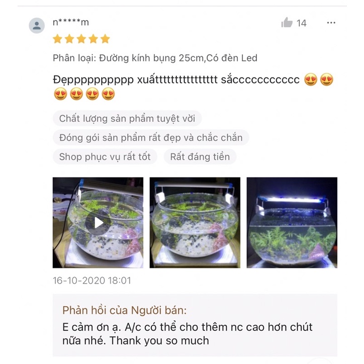 SET BỂ CÁ CẢNH FULL PHỤ KIỆN - QÙA TẶNG LẠ