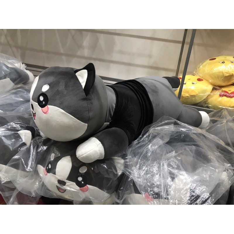 💝Siêu Rẻ💝Gấu Bông Mèo  Alaska Siêu Mềm 55Cm