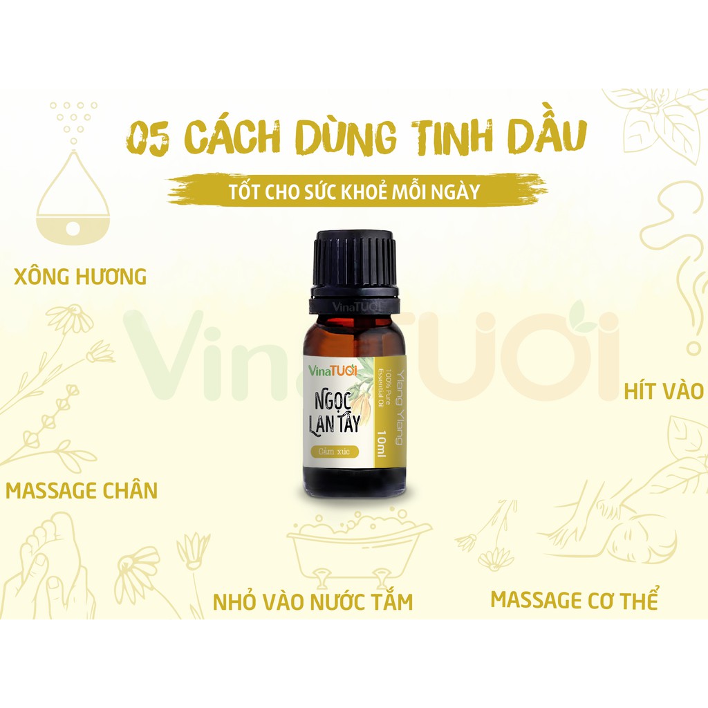 Tinh dầu thiên nhiên Ngọc Lan Tây 10ml nguyên chất giúp làm đẹp, thư giản tăng cảm xúc tinh thần sản khoái và thoải mái.