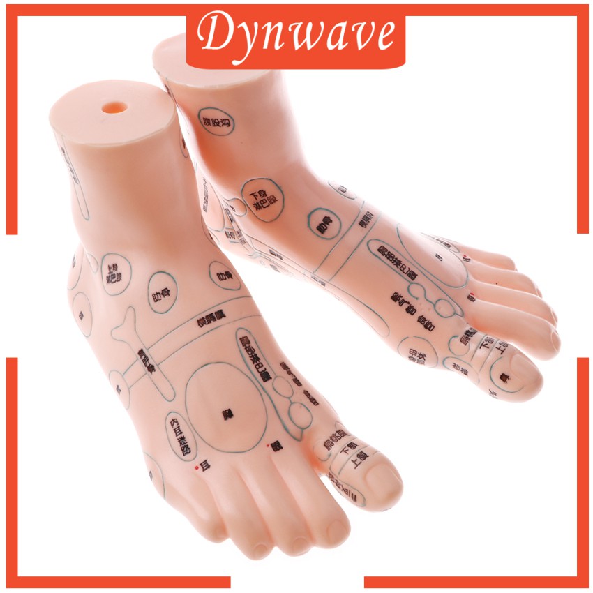 Mô Hình Châm Cứu Mát Xa Chân 19cm