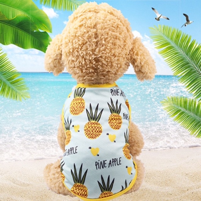 Quần áo cho chó, mèo 🐶 🐈 - Trái cây nhiệt đới dâu, 🍍 dứa, chuối 🍌