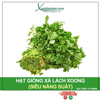 Hạt Giống Xà Lách Xoong Mỹ Phú Nông Gói 1 gram