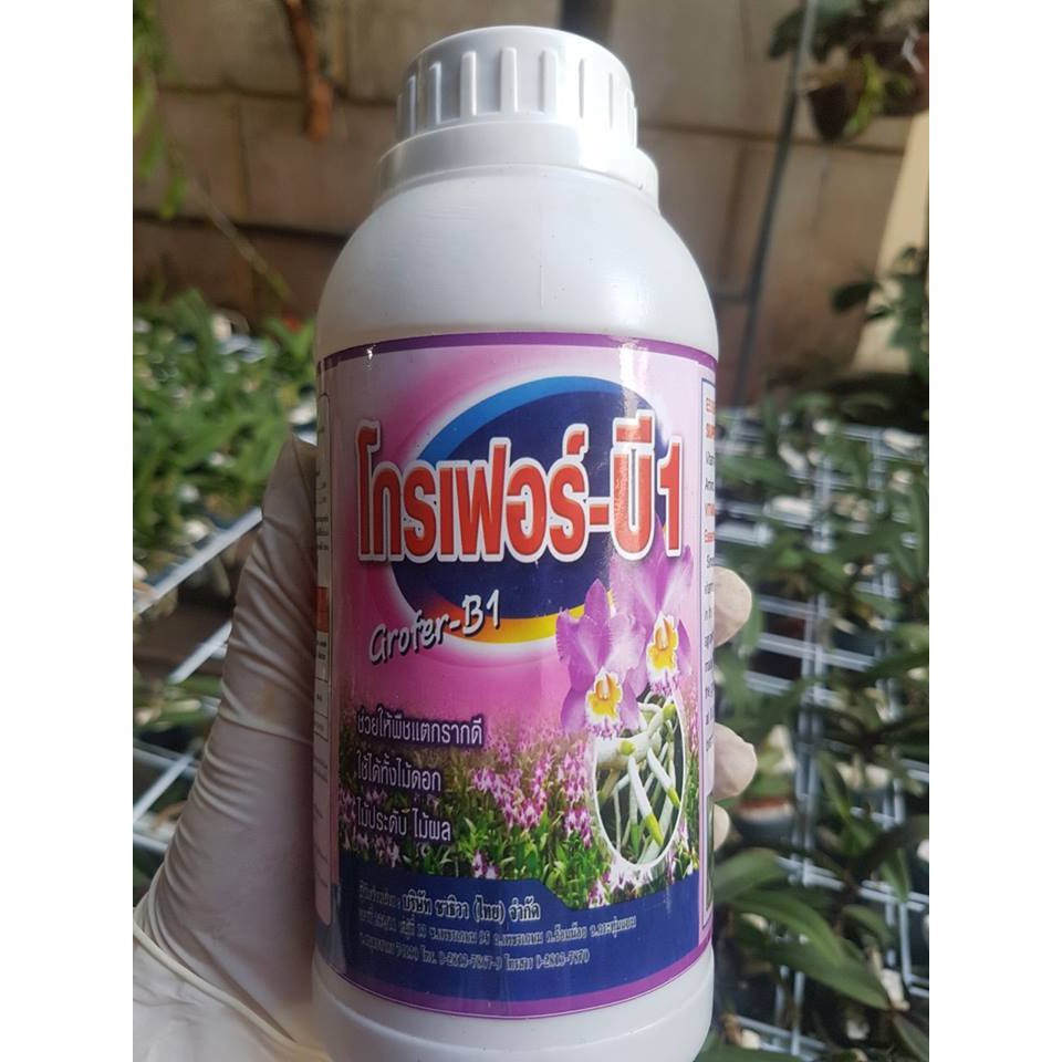 [FREESHIP TỪ 50K] Vitamin B1 Xanh Thái Lan – Kích rễ, chống sốc cho cây Chai 500ml