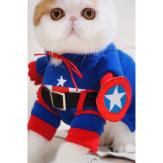 Áo chó mèo cosplay Captain A54