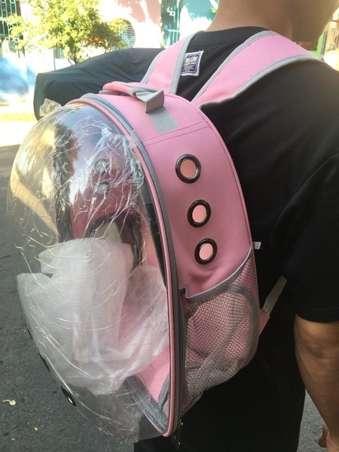 Balo trong vận chuyển chó mèo hàng đẹp