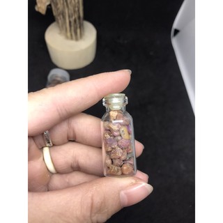 Lọ xíu vụn Hồng Ruby thô