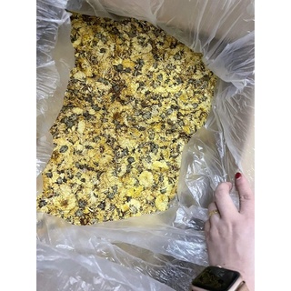 1 kg hoa cúc khô