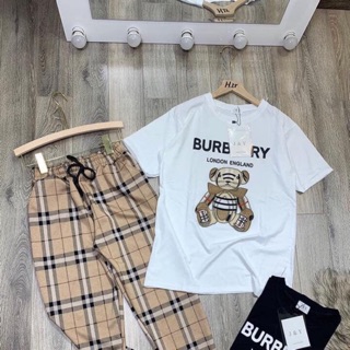 Bộ lửng quảng châu