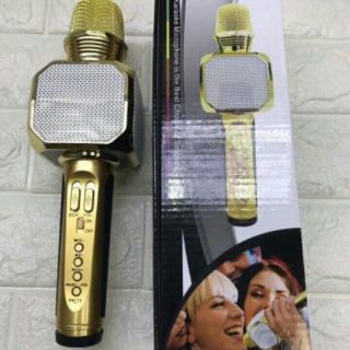 MIC KARAOKE SD-10