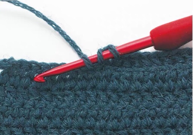 Kim móc Tulip Etimo Red