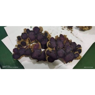 Gừng đen tươi loại 1 ( 1kg)