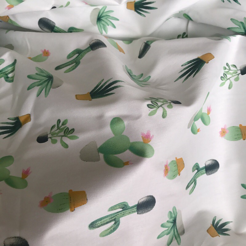Vải thô mặt lụa hình cây xương rồng