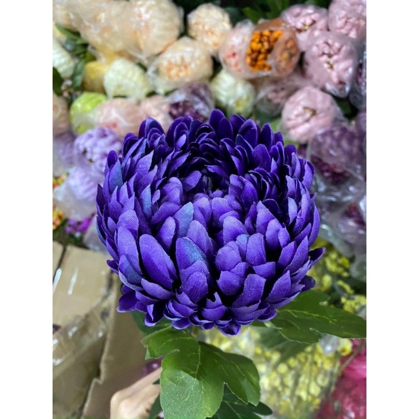 Cành Cúc Đại Đóa , Cúc Mẫu Đơn Cao 75cm. Hoa Giả Cao Cấp, Trang Trí Nhà Cửa, Phòng khách , Decor....| Hà Hoa Flower