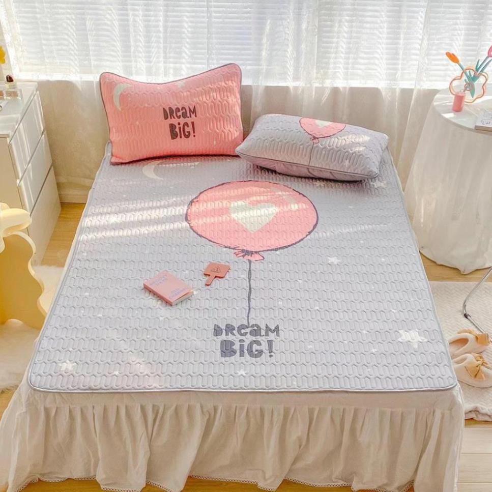 Chiếu điều hòa cao su non, Chiếu cao su non 5D hàng nhập TT01 tặng kèm 2 vỏ gối