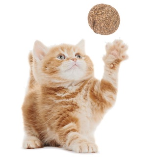 😘❌(D014) BÓNG CATNIP CHO MÈO BÉO(9D)