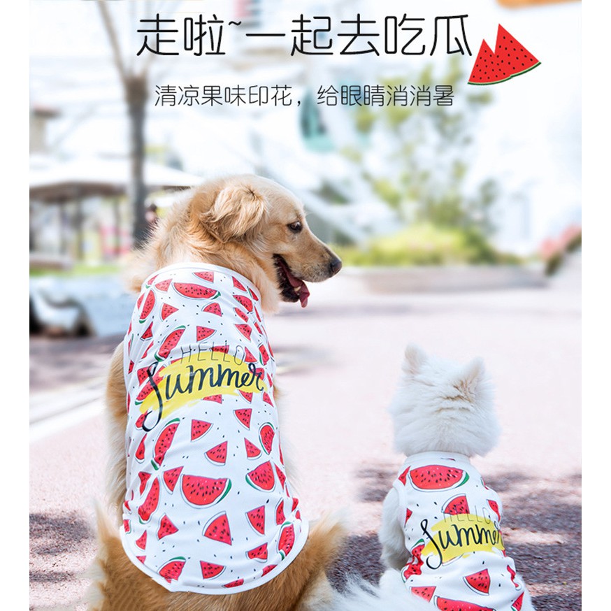 áo ba lỗ dưa hấu mùa hè cho chó giống lớn