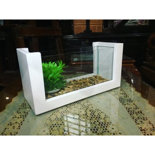Bể cá mini khung gỗ màu trắng tinh khôi+hạt giống cỏ thủy sinh