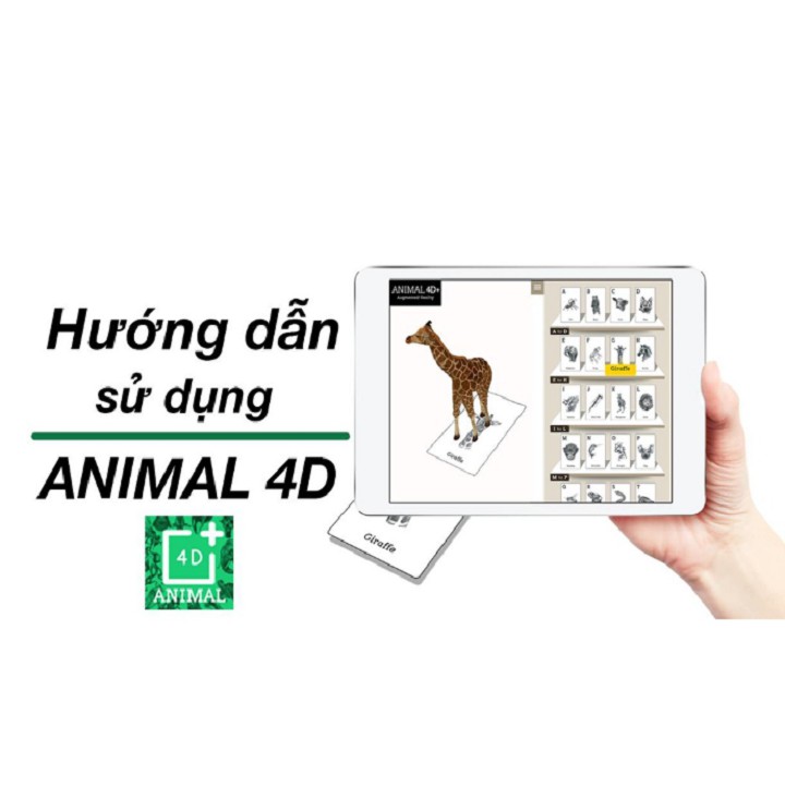 BỘ 38 THẺ ANIMAL 4D THẺ ĐỘNG VẬT THỰC TẾ ẢO 4D, Thẻ 4D Phát Triển Trí Tuệ