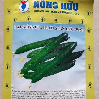 Hạt giống dưa leo xuân yến(v0266) _ tặng gói siêu ra hoa, siêu đậu quả