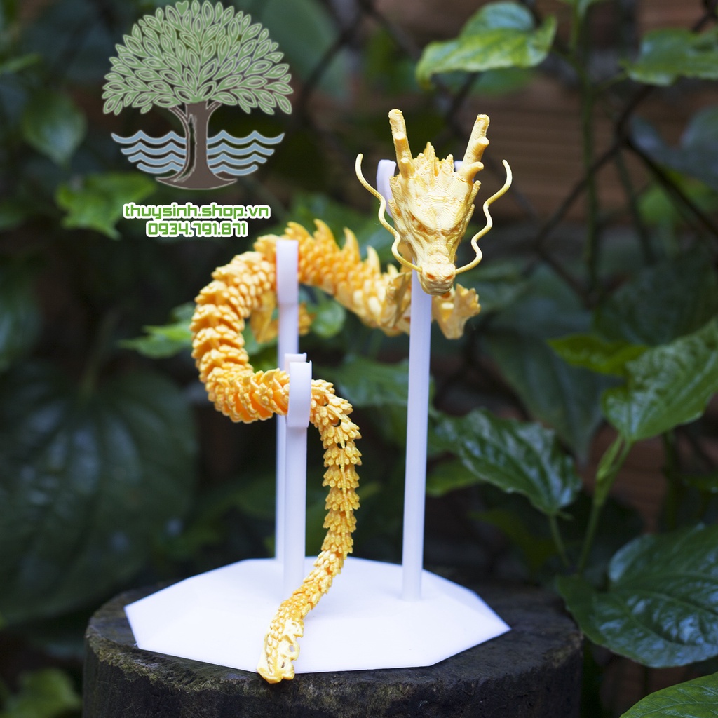 Đế trưng bày rồng in 3d nhiều màu phối cứng cáp độc đáo