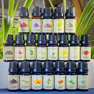 Tinh dầu nguyên chất Mộc Thảo