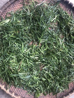 DẦU GỘI THẢO MỘC