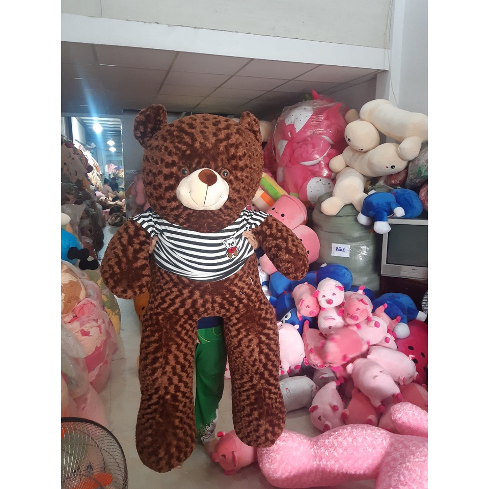 Gấu Teddy Lông Hoa Hồng Mặc Áo tphcm, Teddy Khổng Lồ 1m5 ,Thú Bông Cute, Qùa Tặng Sinh Nhật