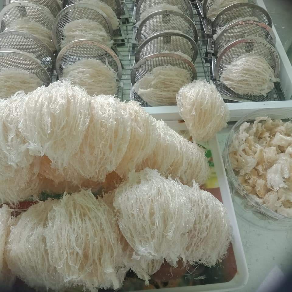 100gr Yến Tinh chế kéo sợi hàng cao cấp 100% yến Nguyên Chất