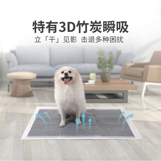 miếng  Tã tã khử mùi cho thú cưng