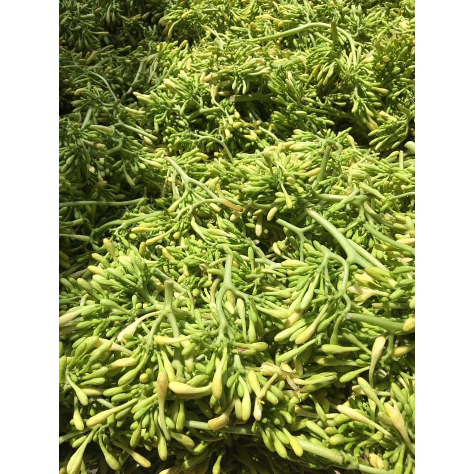 Hoa đu đủ đực khô loại nhất hỗ trợ dạ dày, đái tháo đường 1KG