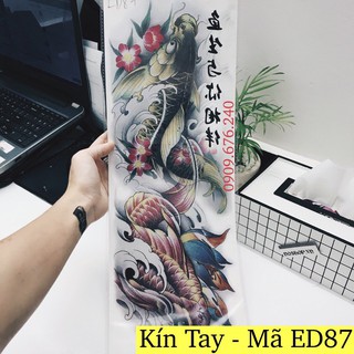 Hình Xăm Dán Nữa Lưng Cá Chép ED87