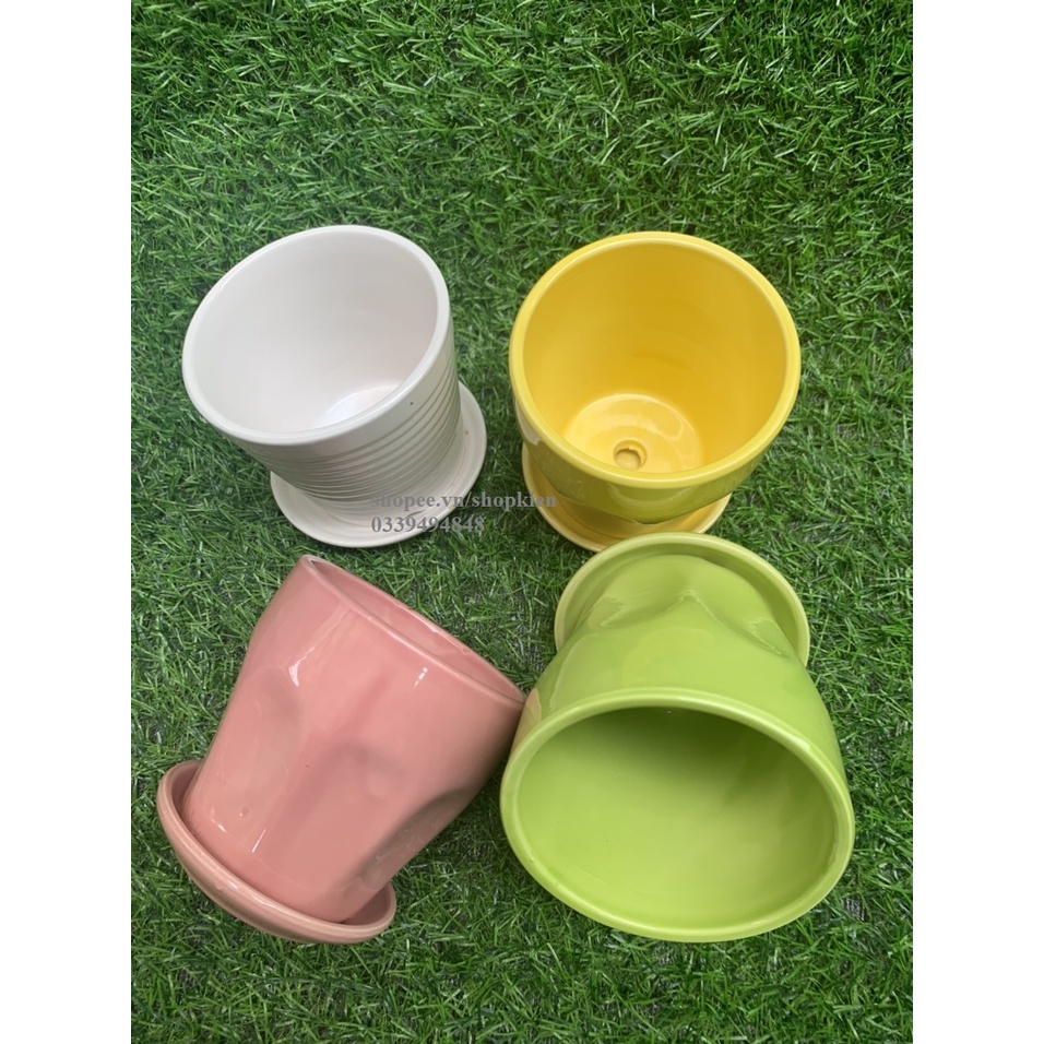 Chậu trồng cây mini  để bàn có đĩa đựng nước màu và dáng đẹp