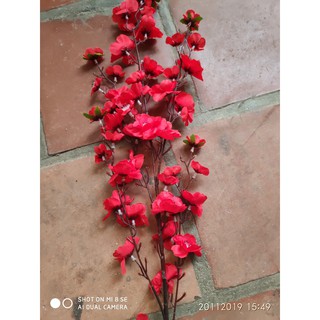 Combo 50 cành hoa anh đào hồng phấn