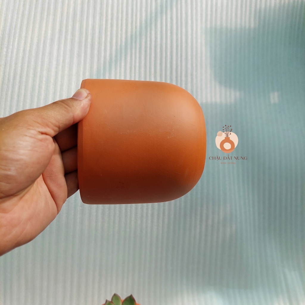 Chậu đất nung, Chậu sen đá - Trụ trứng 1210, miệng chậu 12cm, chiều cao 10cm