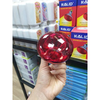 Bóng đèn sưởi hồng ngoại cho chó mèo