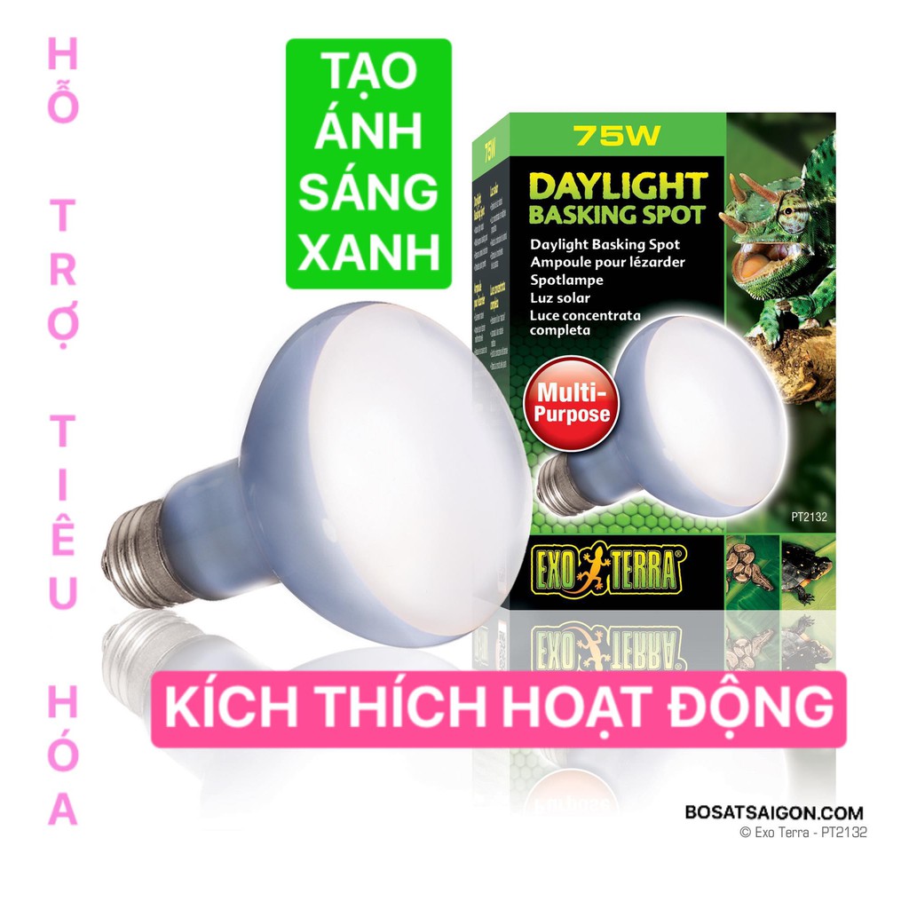 ĐÈN SƯỞI DAYLIGHT KÍCH THÍCH HOẠT ĐỘNG, SINH SẢN, HẤP THỤ CHẤT DINH DƯỠNG, UVA UVB [ 75W - 100W - 150W ] CHÍNH HÃNG EXO