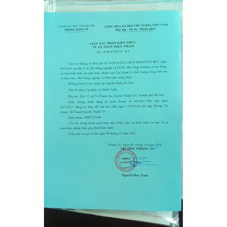 Trà hoa Cúc Đường Phèn Mộc Sắc